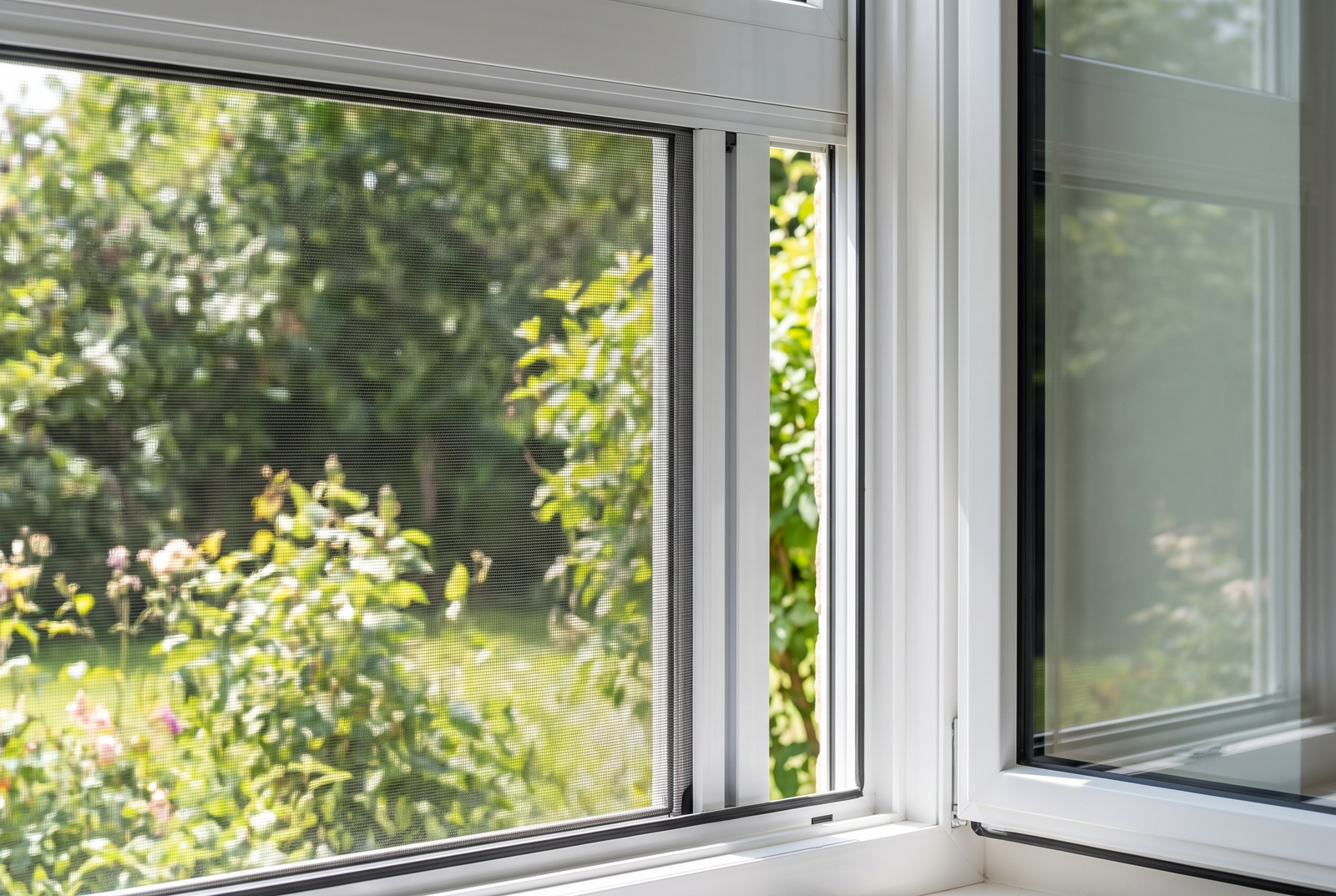 Moustiquaire enroulable sur une fenêtre aluminium
